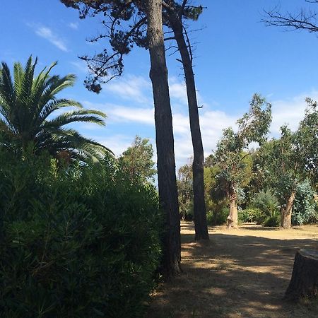 Hotel Le Narval Calcatoggio  Dış mekan fotoğraf
